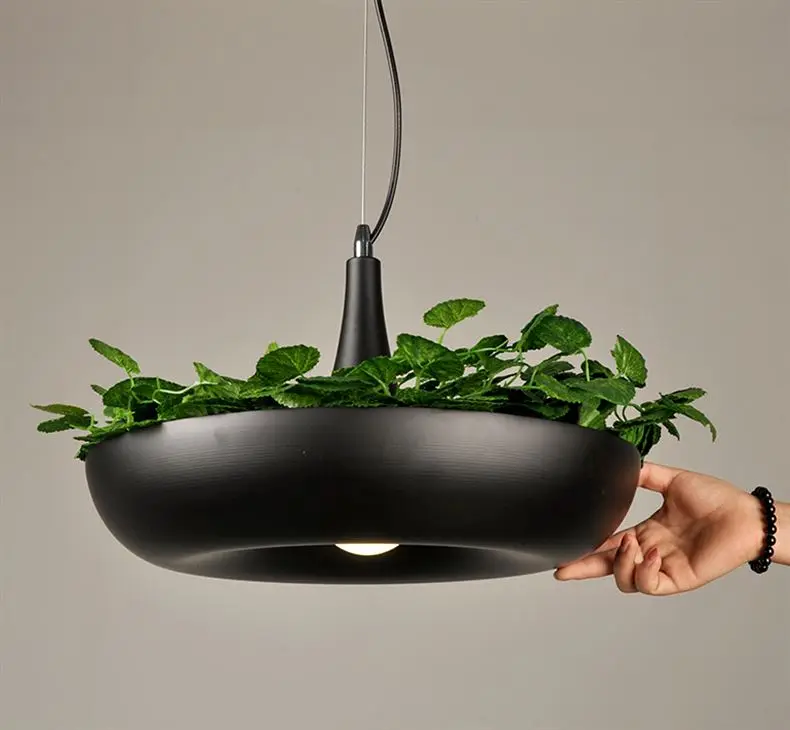 Северное растение подвесные светильники DIY Небесный сад Светодиодная лампа