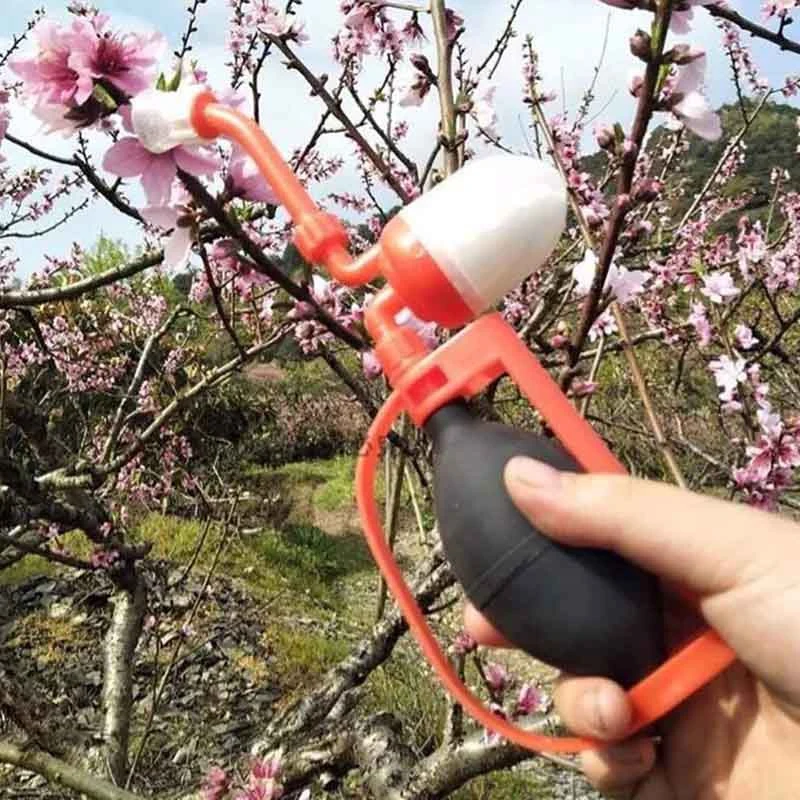 CSS опылитель томатный персиковое дерево Грушевое киви растение фруктовый цветок