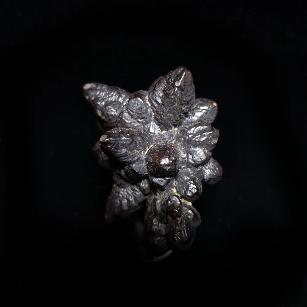 

103g A6-6gy Natural Limonite Mineral Specimen Collection Teaching Form Egypt