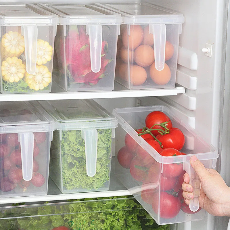 

Kitchen Plastic Food Vegetable Storage Container Organizer Fridge Storage Box Food Containers Small Refrigerator Storage Boxes
