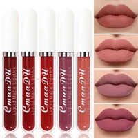 makeup for women long lasting smooth soft nude velvet lip glosses matte lipstick