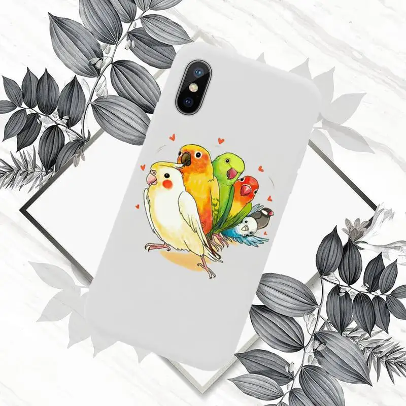 

Cartoon parrot Phone Case White Candy Color for iPhone 11 12 mini pro XS MAX 8 7 6 6S Plus X SE 2020 XR