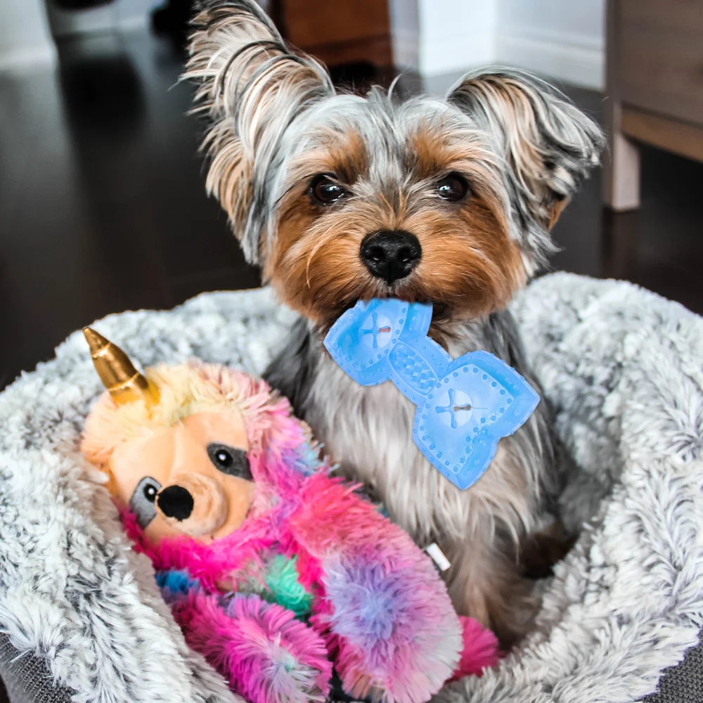 

1pc Creative Dog Chewing Summer Cooling Plaything Summer Dog Ice
