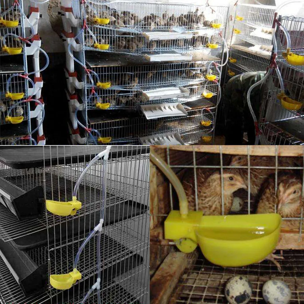

2Pcs Quail Water Drinking Bowl Chicken Quail Pigeon Bird Suspension Drinking Fountain Poultry Feeding Supplies 1CM Pipe Diameter