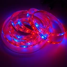 5 мрулон 300 светодиодов Светодиодная лента 5050 Чип для теплицы гидропоники растений 60 светодиодовм лента для растений светодиодная фитолампа 12 В постоянного тока