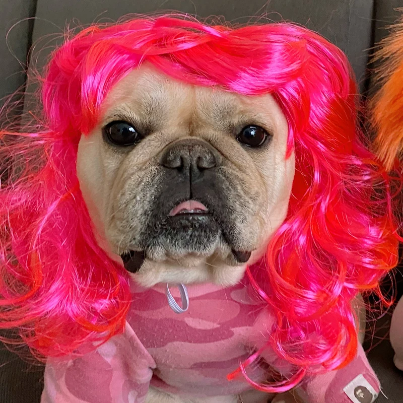 

Pet Wig dog accessories Dog Wig