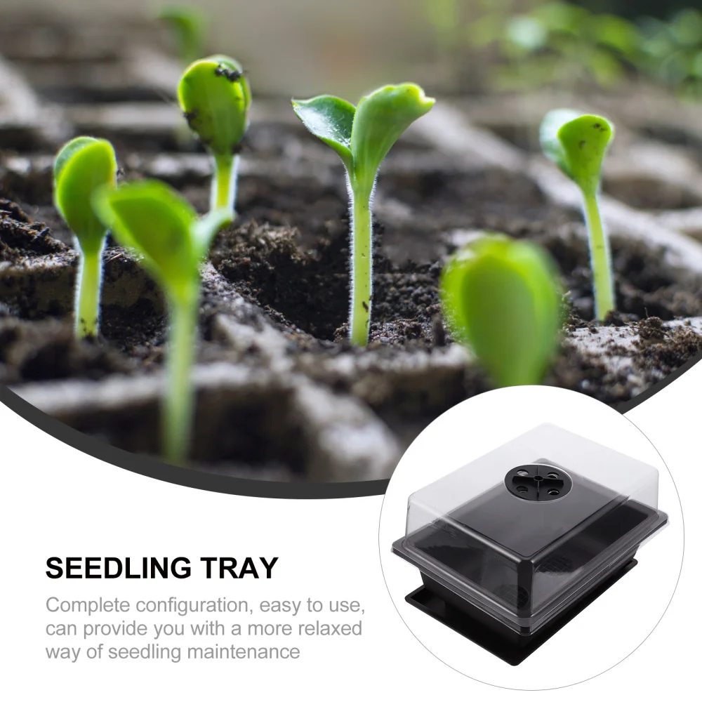 

2 Sets Practical Plant Tray Nursery Pots Seed Imitation Purple Clay Basin