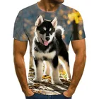 Новинка 2021, футболка для собаки, мужская летняя уличная одежда, 3D футболка с круглым вырезом и рифлеными рукавами