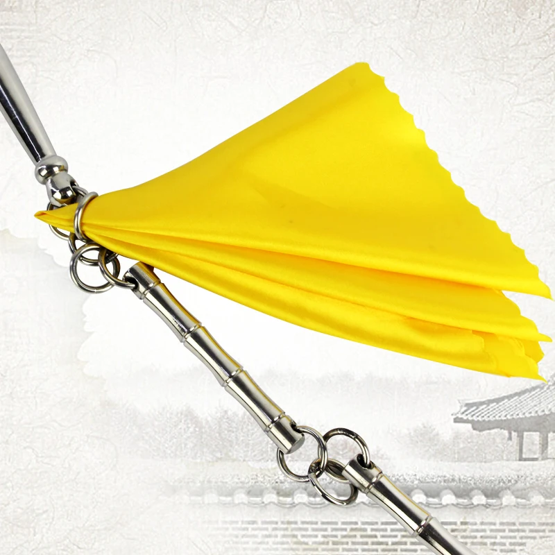 

Catazer 304 Stainless Steel Nine Knot KungFu Wushu Whip Performance Beginner Whip Seven Knot Martial Art Whip