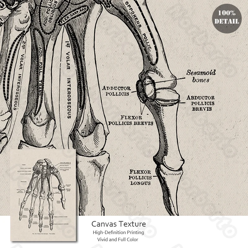 

Body Structure Diagram Canvas Painting Poster Black and White Pictures with Samll But Detailed Notes for Home Room Decoratio