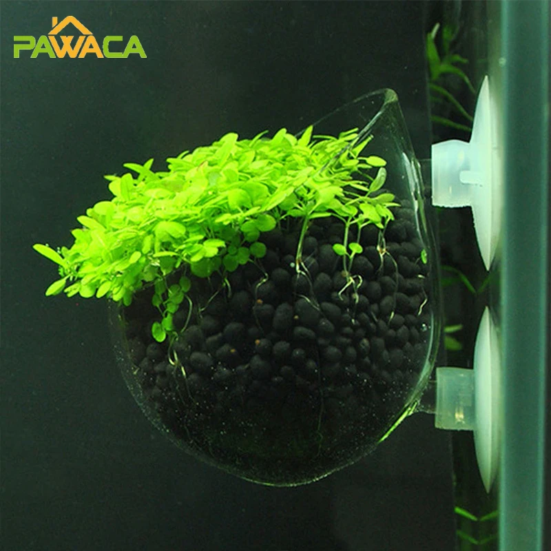 

Waterweeds Aquarium Plant Water Glass Pot Aquatic Planting Cylinder Cup Fish Tank Decoration Accessories Hanging Feeder Suction