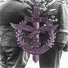 Немецкая брошь WW2, булавка, пилот люфтвафа с орлом, медаль Железного креста, Miitary брошь, ювелирные изделия