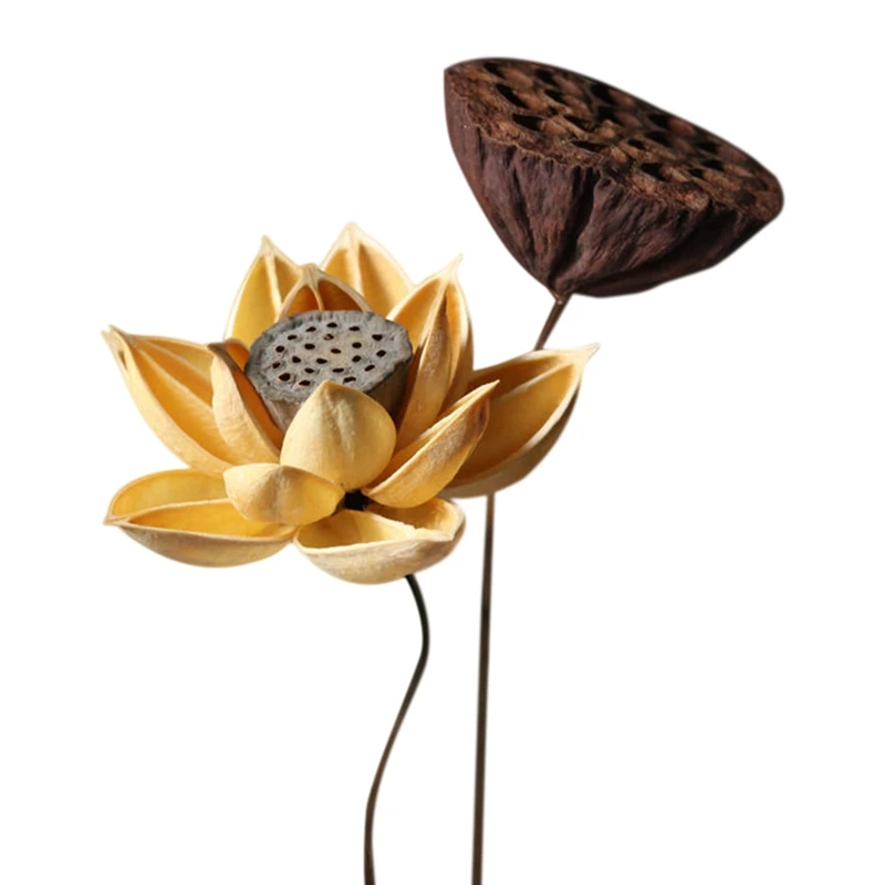 

Real Natural Dried Pressed Lotus Flower,Decorative Handmade Water Lily Flower Branch,Table Decoration for Home