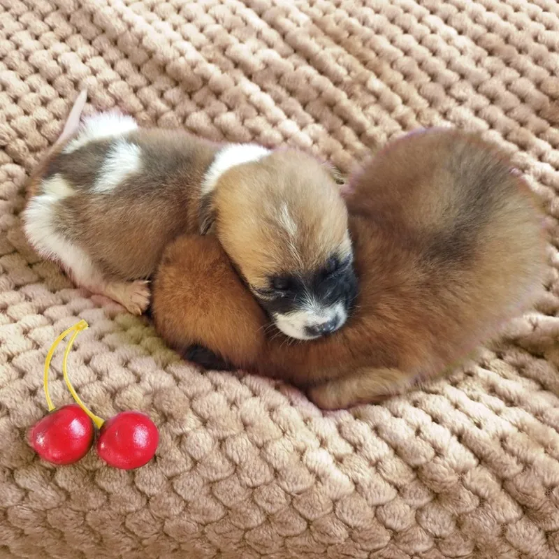 Мягкое одеяло для домашних животных зимняя кровать собак и кошек сетчатый теплый