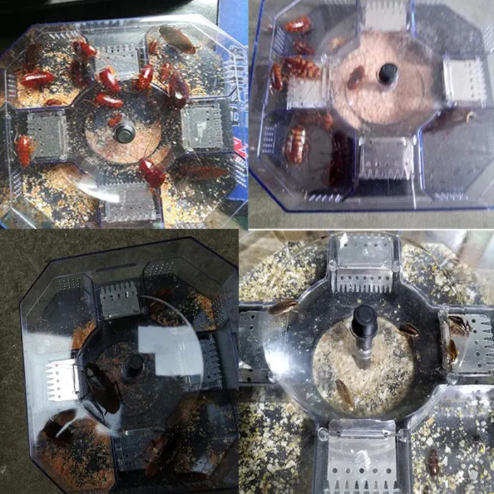 

10 Pcs Cockroach Killing Bait Pest Control Powerful Cockroach Killing Bait Kitchen Household Using