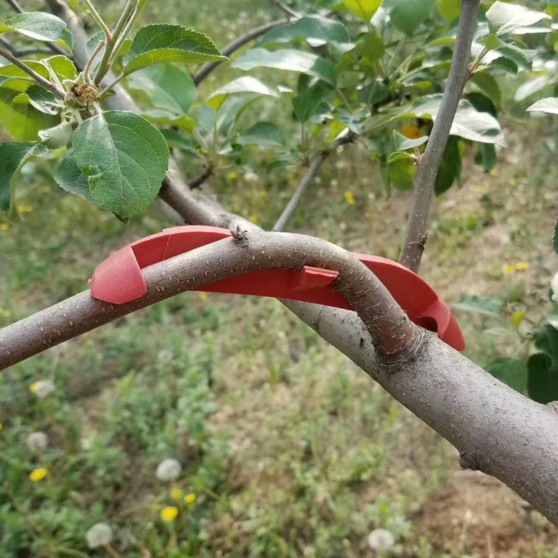 

Plant Branch Bending Device, Plant Branch Opening Angle Puller Bending Tool, Suitable for Potted Seeds and Trees