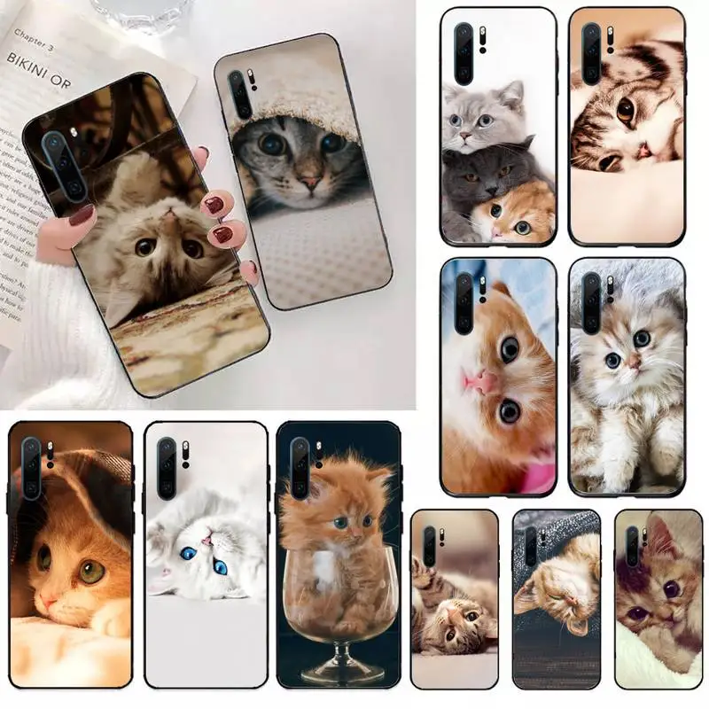 

cat kitten cute animal Phone Case For Huawei honor Mate 10 20 30 40 i 9 8 pro x Lite P smart 2019 Y5 2018 nova 5t