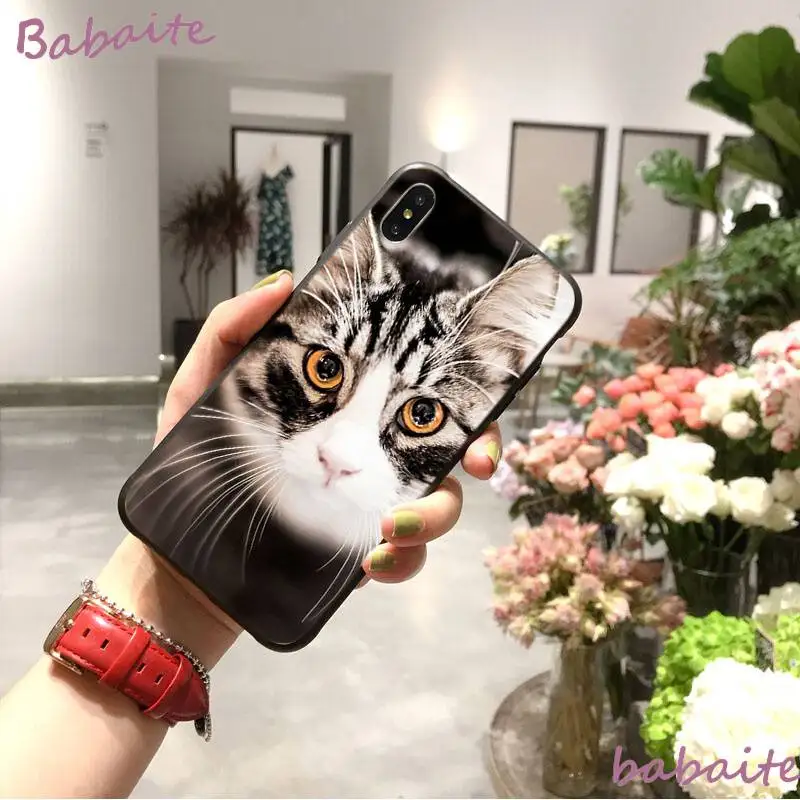 

Babaite Black Cat Watch Eyes TPU Soft Silicone Phone Case Cover for iPhone 8 7 6 6S Plus X XS MAX 5 5S SE XR 11 11pro promax