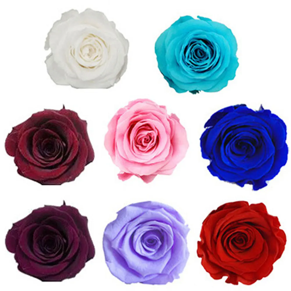 6PCs/Box Preserved Fresh Rose Flower Heads Class B 5-6CM Roses Dried Handmade DIY Eternal Arrangement |