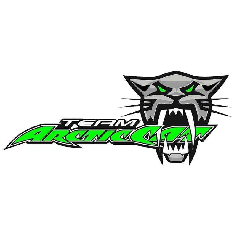 

15cm*8cm for Team Arctic Cat Roar Anime Funny Car Stickers Cartoon Vinyl JDM Bumper Trunk Truck Graphics Car Decal