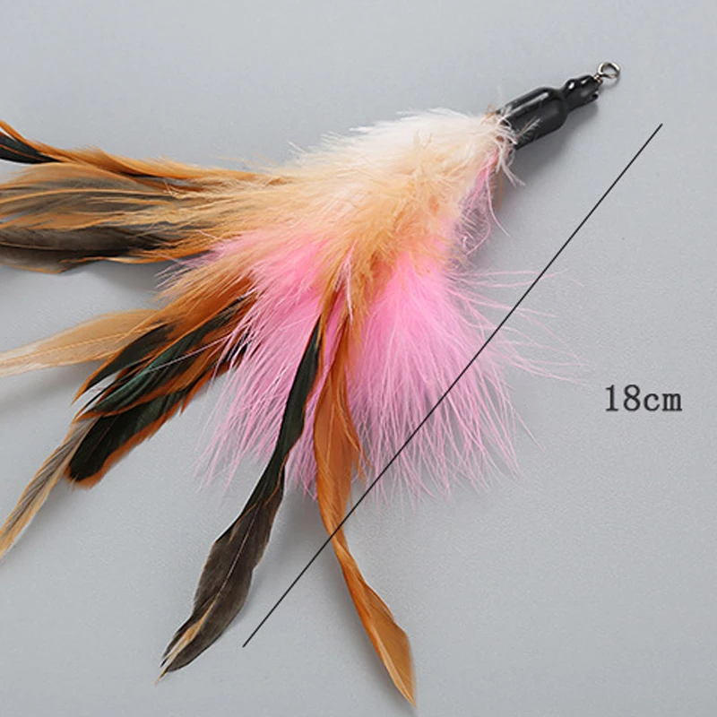 

Retractable Cat Toys Wand 5 Assorted Teaser Refills With Bells Interactive Feather Teaser Wand Toy Kitten Cat Having Fun Playing