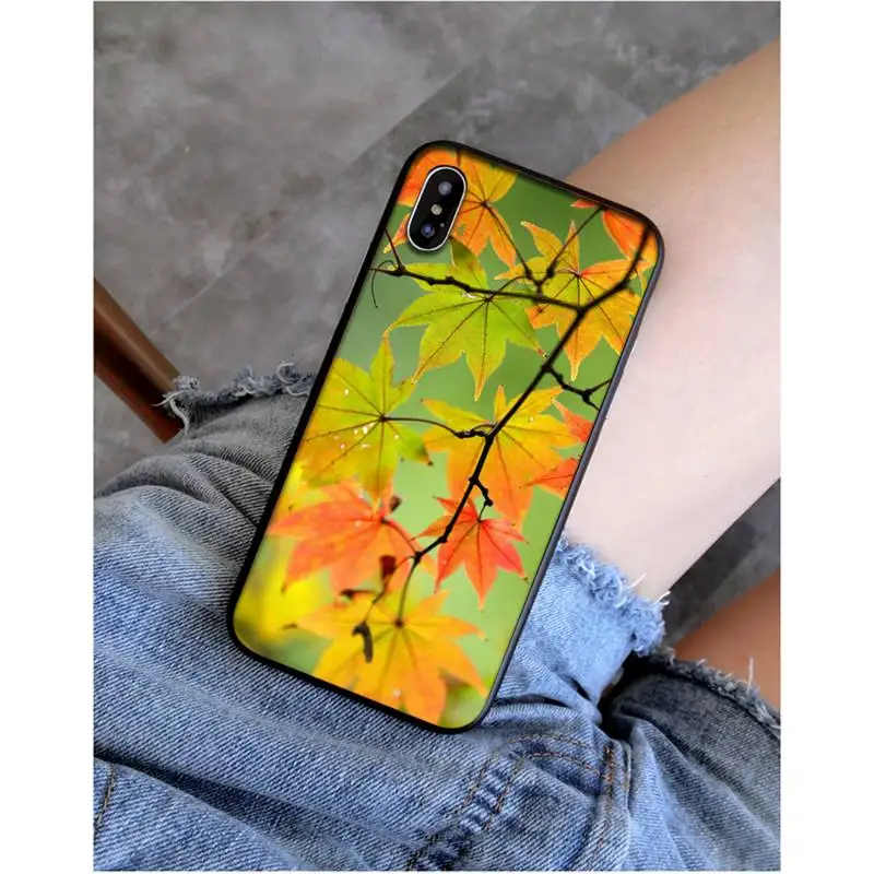 

FHNBLJ Autumn fall Maple Leaves scenery Custom Photo Soft Phone Case for iPhone 11 pro XS MAX 8 7 6 6S Plus X 5 5S SE XR SE2020