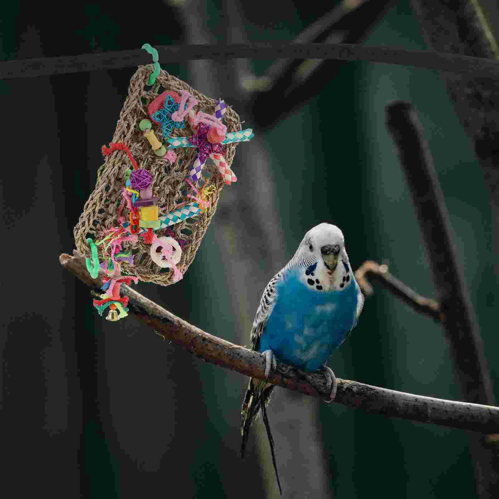 

1Pc Pet Bird Climbing Net Colorful Birds Foraging Wall Hanging Parrot Biting