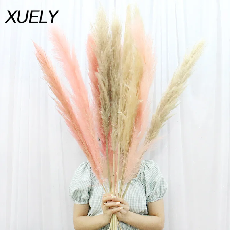 20 шт. пампасная трава Натуральные сушеные цветы домашний декор свадебные