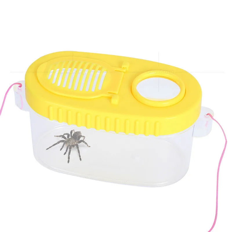 

Увеличительное стекло для студенческого детского сада