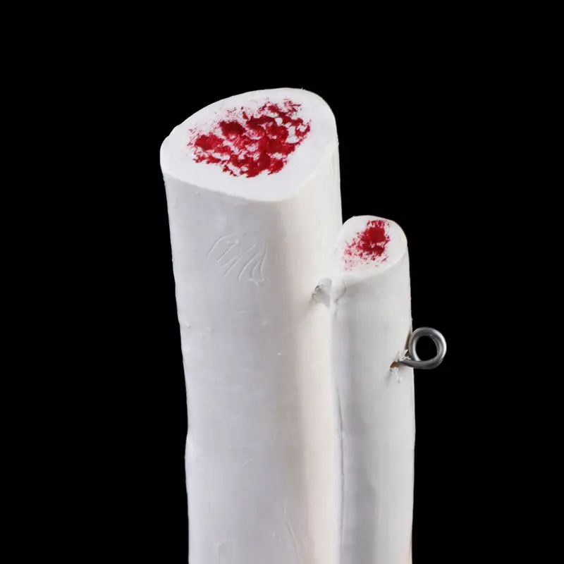 

1: 1 Human Skeleton Human Model Joint Medical Anatomy Ankle Ligament Anatomically Teaching Resource Tool