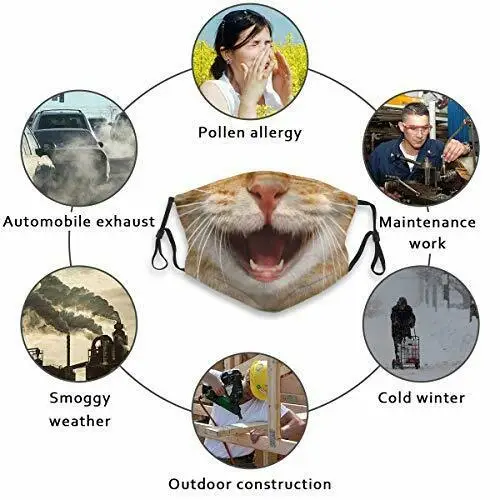 

Funny Animal Face Mask With Filter Pocket Washable One Size|Smile Cute Cat