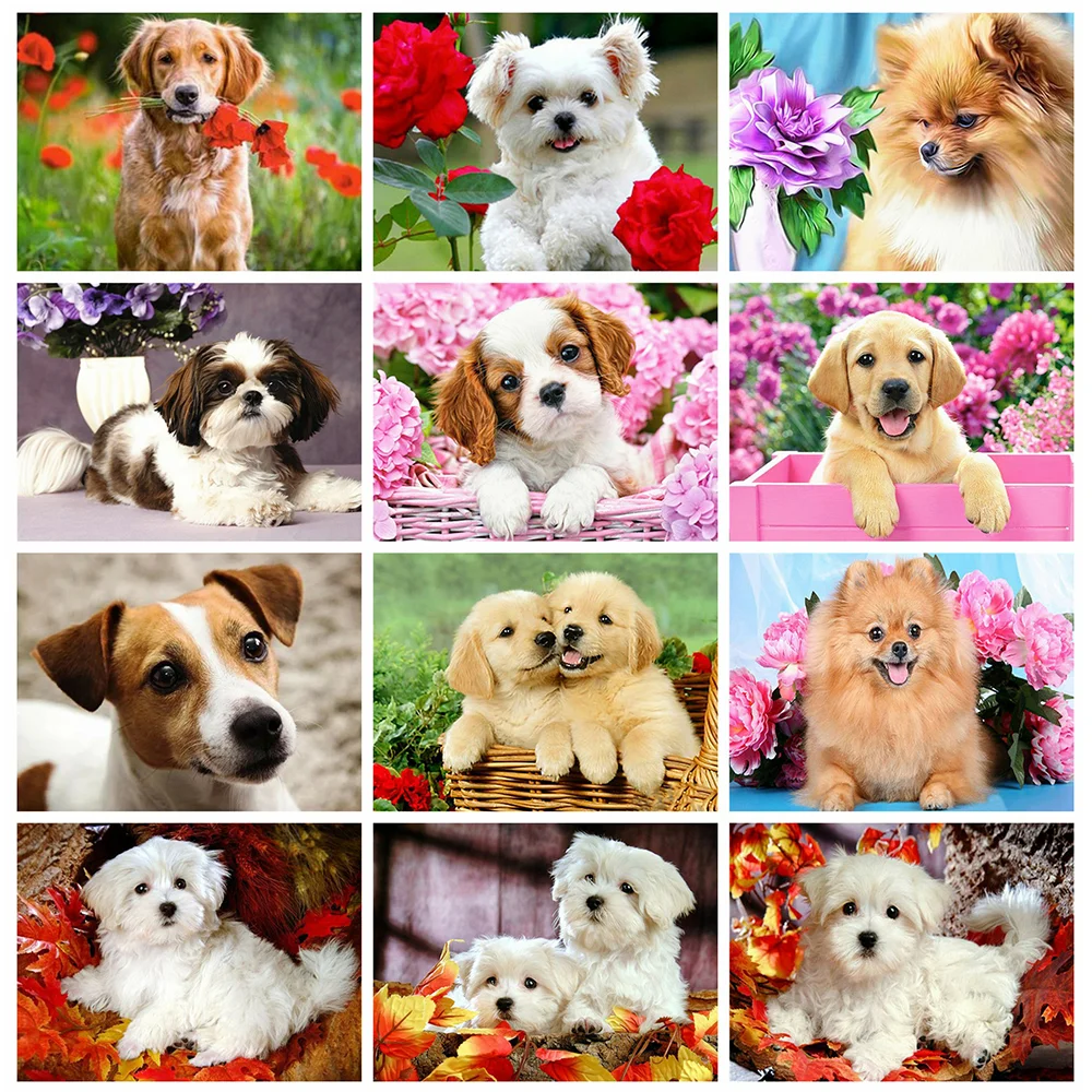 Huacan алмазная вышивка распродажа полная выкладка собаки животные 5д картина