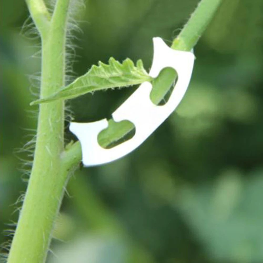 

Plant Securing clip Garden Anti-Bending Vegetable Fruits Strengthen Fixed