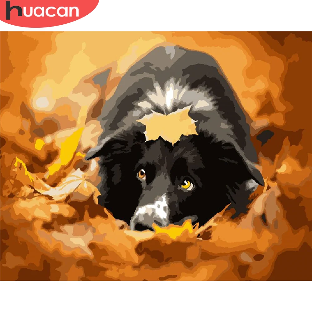 

HUACAN DIY картины по номеру собаки наборы рисование на холсте Живопись по номерам животных ручная роспись картины искусство подарок домашний д...