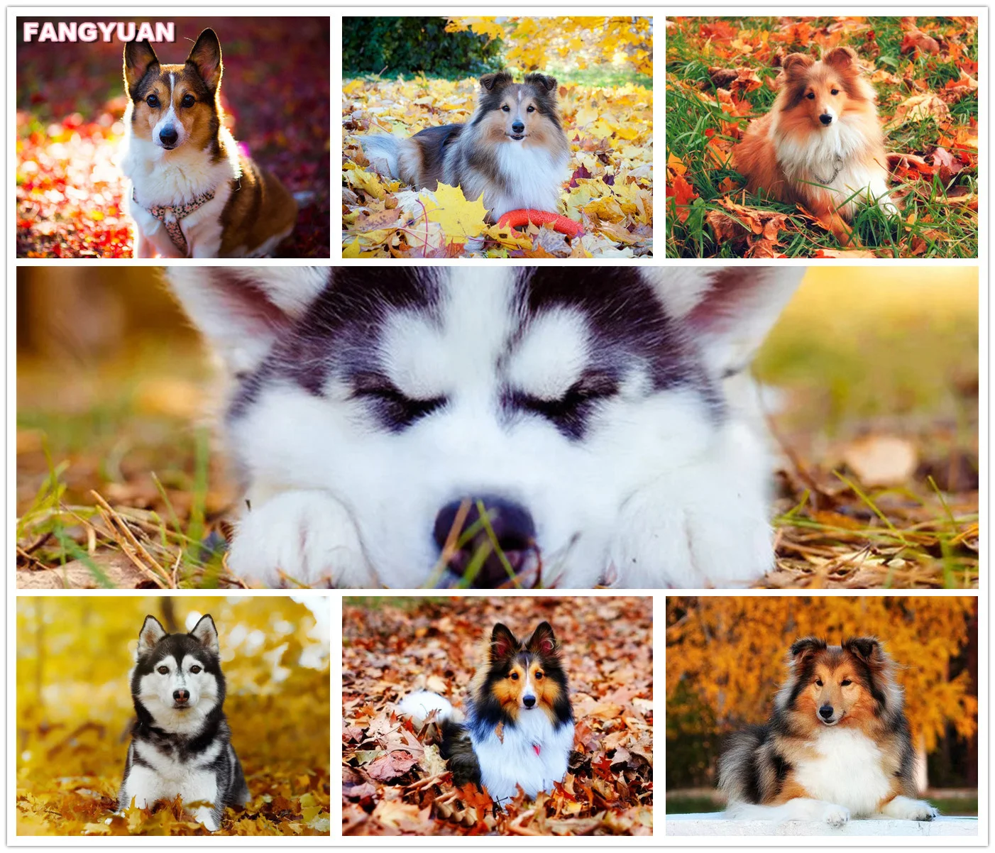 

Diy 5D Diamond Painting Dog Mosaic Picture of Rhinestones Diamond Embroidery Autumn Leaf Animals Gift Handmade Home Decor Gift