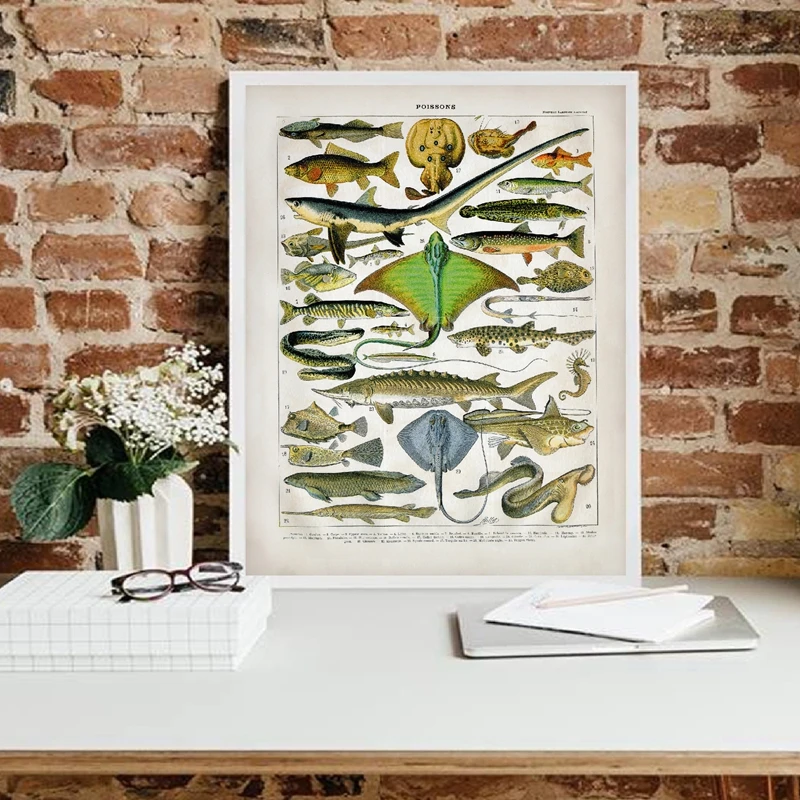 Ocean Animal Fish Canvas Poster Saltwater Prints Seahorse Shark Stingray Lamprey Eel Nature Lover Gift Beach Decor Painting | Дом и сад