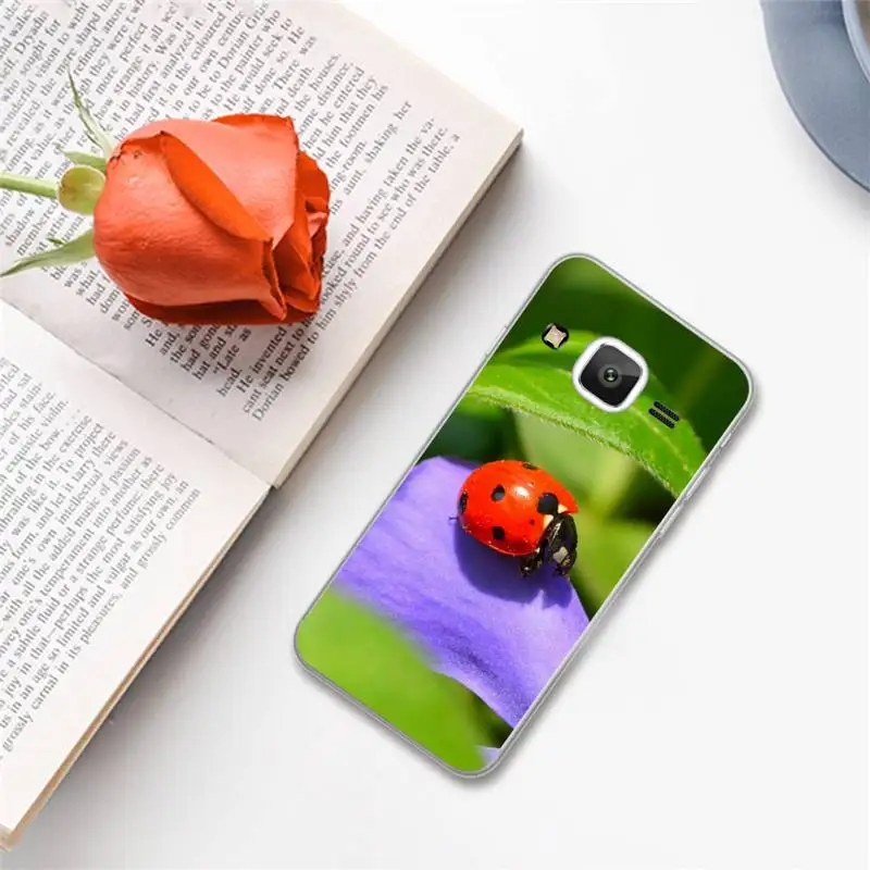 

ladybug beatuiful animal world Phone Case For Samsung Galaxy J2 J4 J5 J6 J7 J8 2016 2017 2018 Prime Pro plus Neo duo