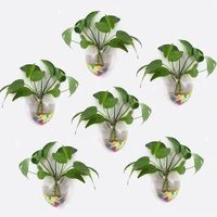 glass planters wall hanging planters hanging air plant pots flower vase air plant terrariums hanging plant containers