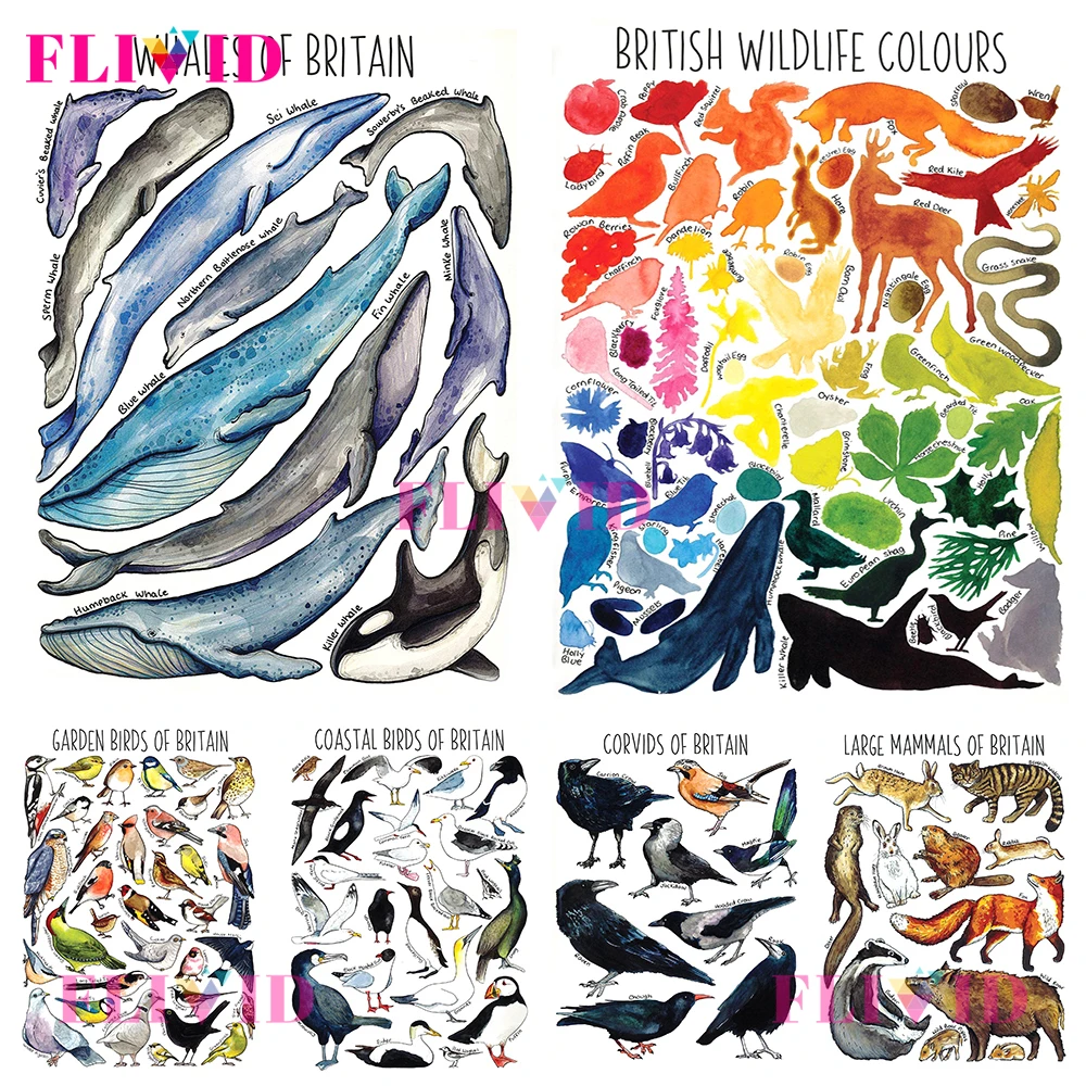 

Colorful Animals Fish Bird Nordic Poster Watercolour Wall Pictures For Living Room Wall Art Canvas Painting Home Decor Unframed