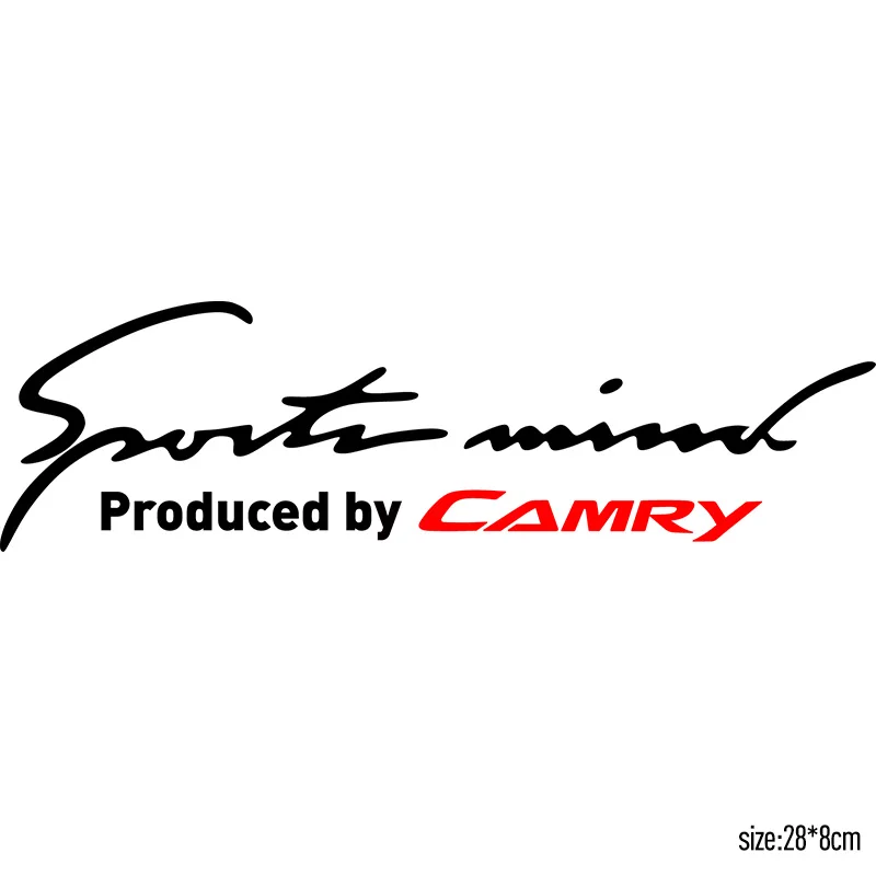 Изготовление на заказ спортивные идеи по поводу козырек автомобильного фонаря