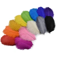 10pcslot colored 15 20cm ostrich feather holiday wedding party decoration plumes feathers crafts for diy table centerpieces