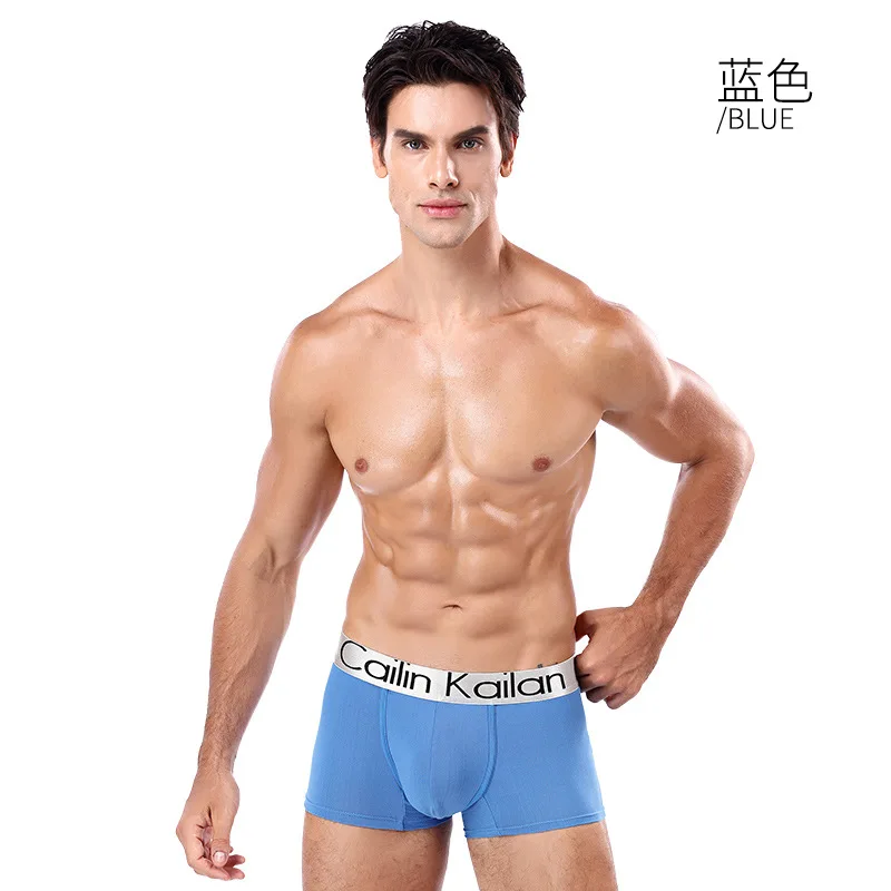 10Pcs/lot Boxershorts Mens Underwear Boxers Hombre Bokserki Modal Soft Men's Boxer Breathable Ropa Underwear Free Shipping