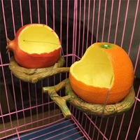 new funny fruit shape bird parrot feeder orange pomegranate food water feeding bowl container feeders for crates cages coop pet