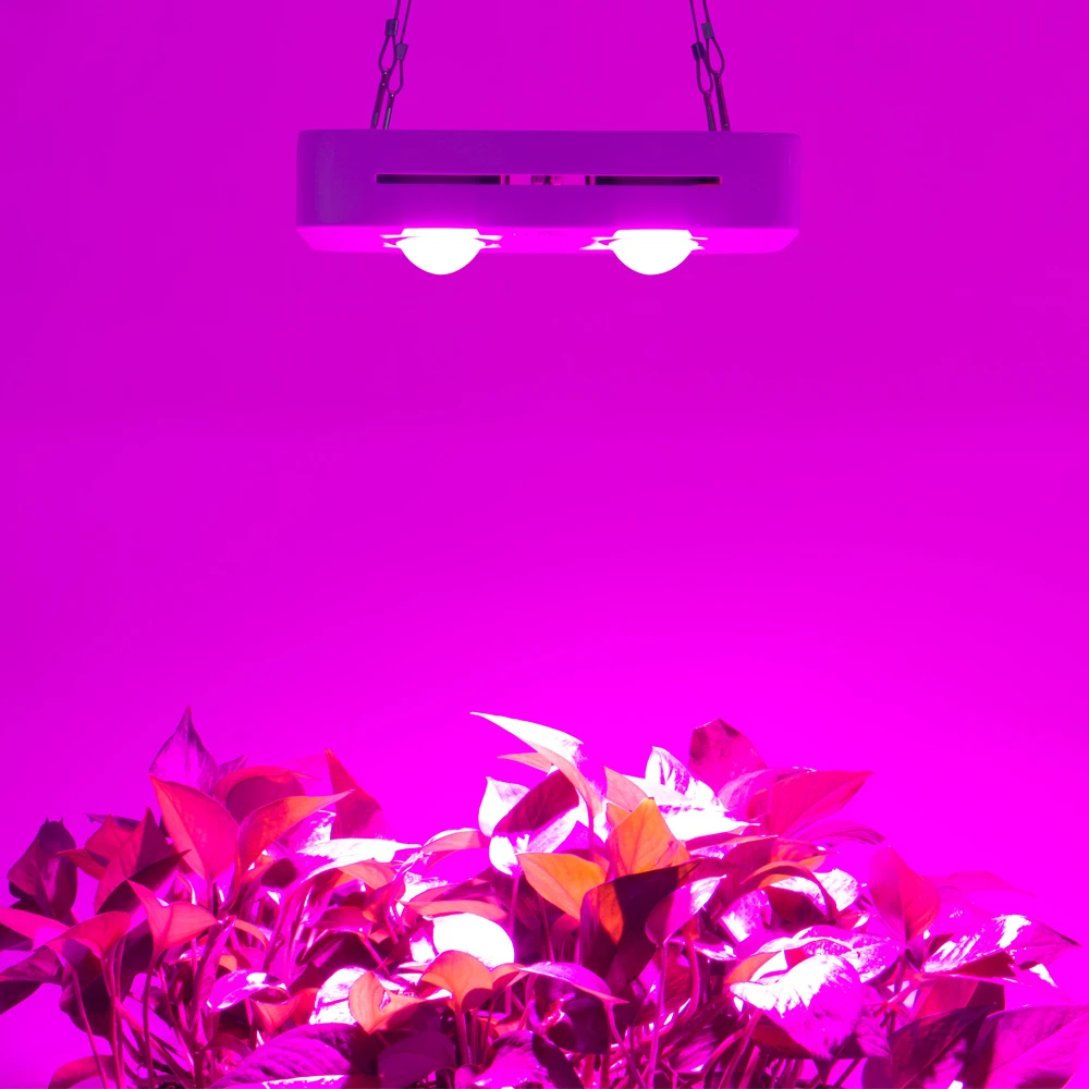 

LED Plant Lamp 220V Indoor Lighting Plant Growth Light With fan 300W Full Spectrum Greenhouse Flower Seed Tent Nursery Light