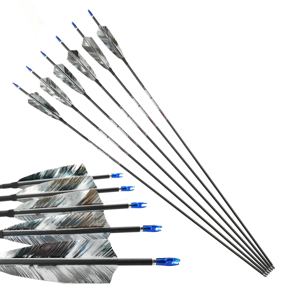 

Archery Carbon Arrow Spine 400 500 600 700 800 900 1000 1100 4Inch Feather Points Compound Recurve Bows Longbow Hunting 12PCS