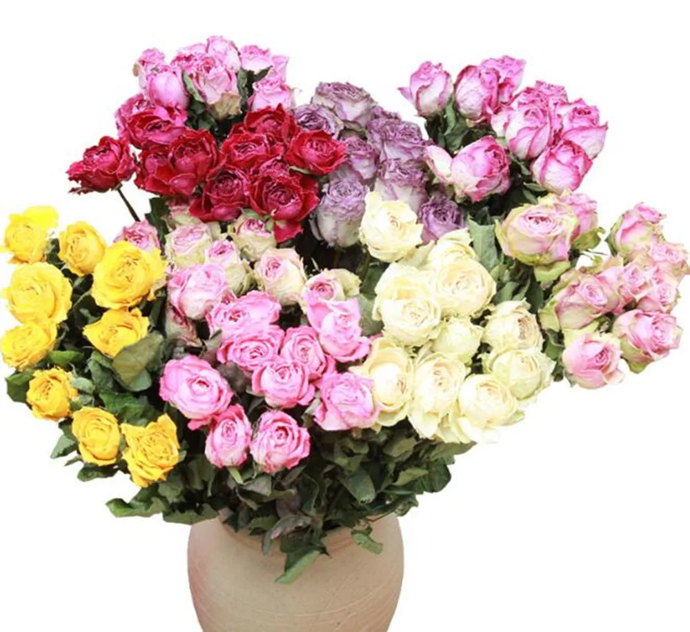 

5pcs Artificial Roses Big Heads Dried Flowers Rose Real Flowers Natural DIY Home Wedding Floral Decor Scrapbook Accessories