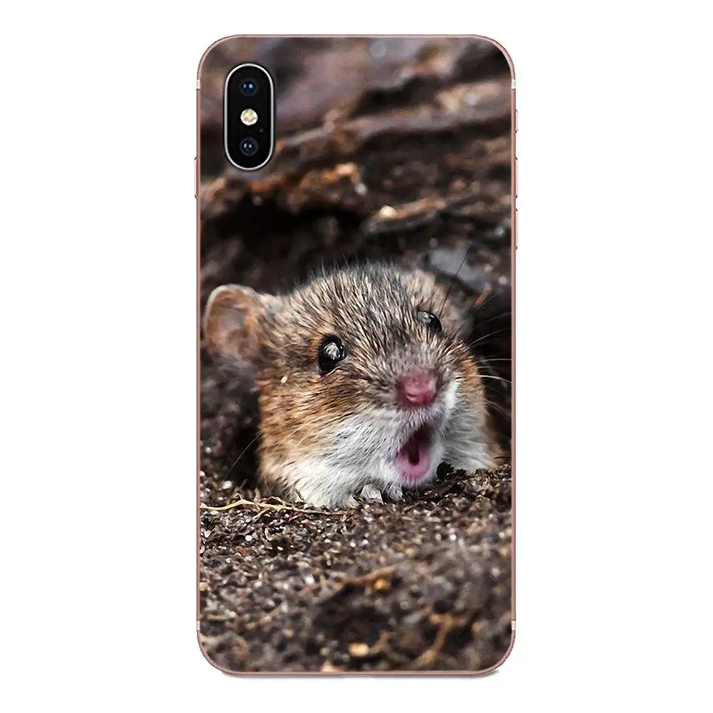 Белка морская свинка мышь арахис жадный для Huawei Honor 5C 5X 6A 6X 7 7A 7X 8 8A 8S 8X 9 10 30 Lite Pro Y6 II