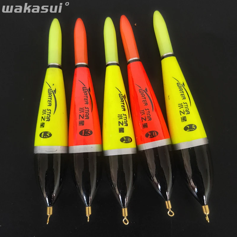 New 2Pcs/Lot Carp Fishing Floats Accessories Float Luminous Electric For Fishing In Summer Sea Striped-Bass Outdoor Tools