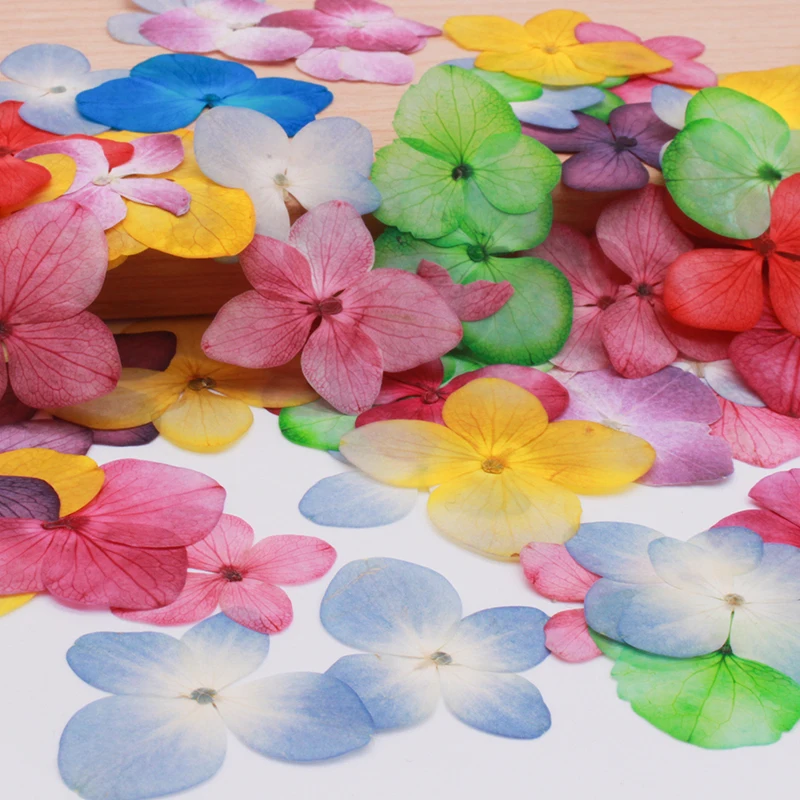 Гортензия сухой цветок DIY тиснение лепесток помпон цветы растения искусственные