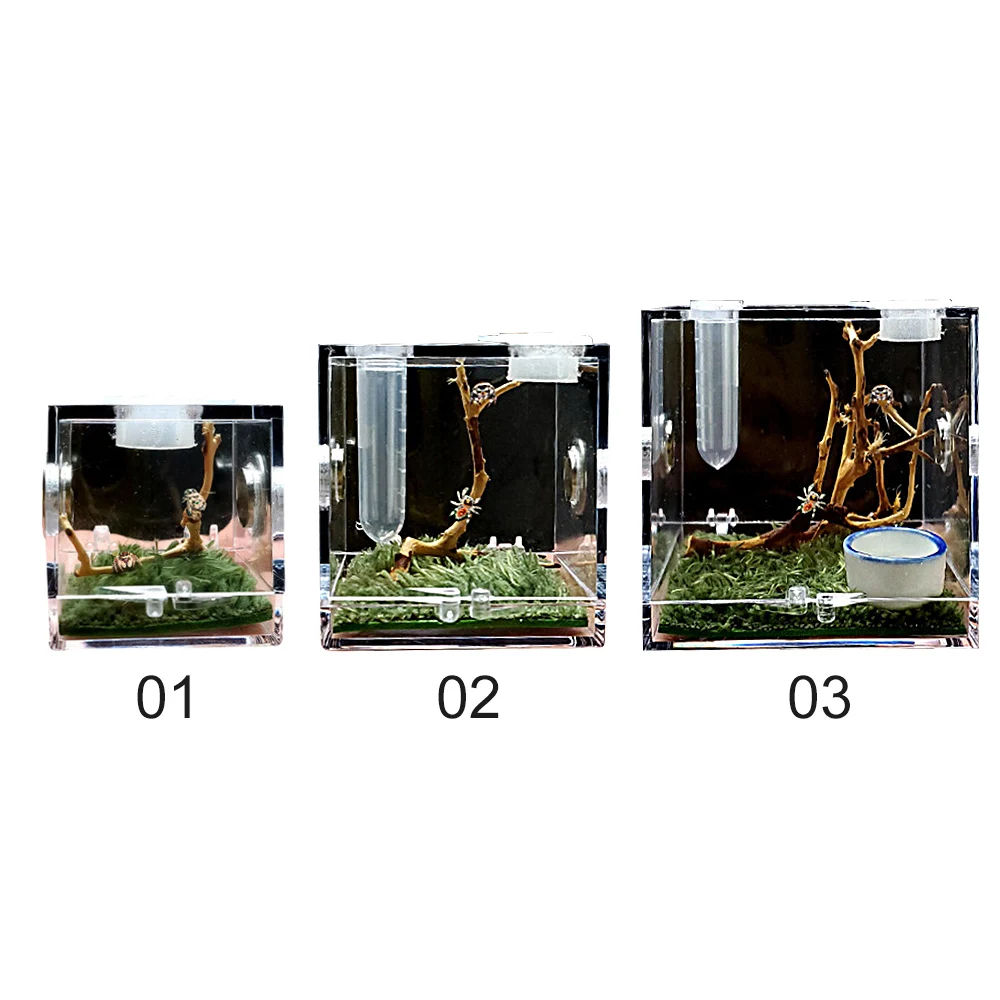 

Transparent Small Insect Breathable Acrylic Box Black Widow Spider Lizard Frogs Breeding Live Clear Food Feeding House Pet Tool